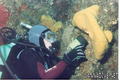 scuba diving photo