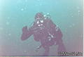 scuba diving photo
