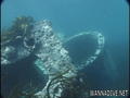 scuba diving photo