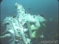 scuba diving photo