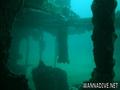 scuba diving photo
