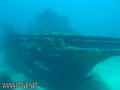 scuba diving photo