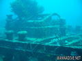 scuba diving photo