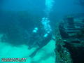 scuba diving photo