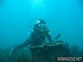 scuba diving photo