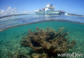 scuba diving photo