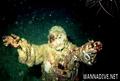 scuba diving photo