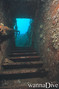 scuba diving photo