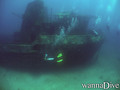 scuba diving photo