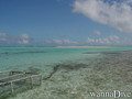 scuba diving photo