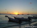 scuba diving photo