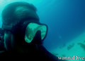 scuba diving photo