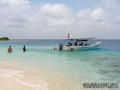 scuba diving photo