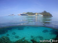 scuba diving photo