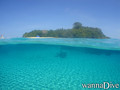 scuba diving photo