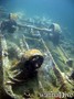scuba diving photo