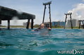 scuba diving photo